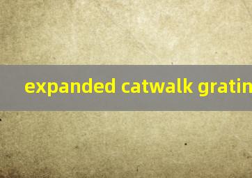  expanded catwalk grating